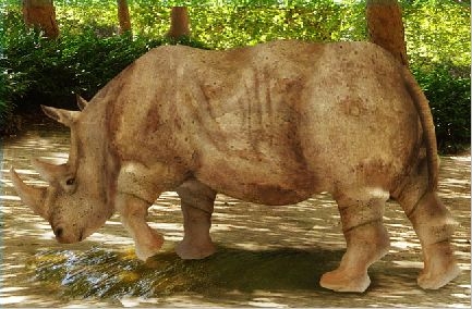 Creation of Rhino: Step 19